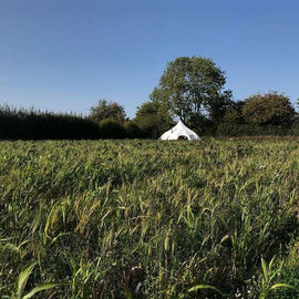 Micro Glampsites - Get A Return On Investment In One Season With Lotus Belle - Lotus Belle Tents UK